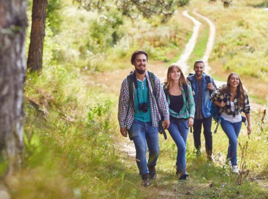 Vier junge Wanderer auf einem Naturpfad, die gemeinsam durch eine grüne Landschaft laufen – Vorbereitung auf die Besteigung Kilimandscharo